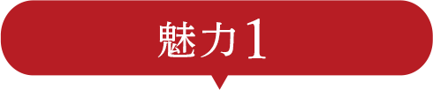 大同門の魅力1