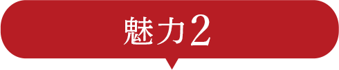 大同門の魅力2