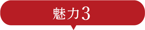 大同門の魅力3